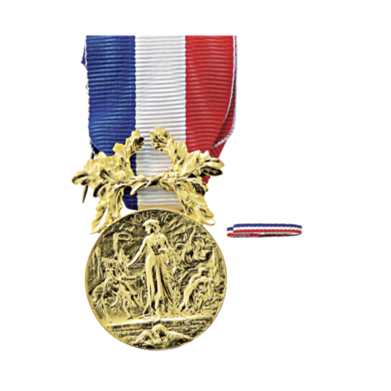 Médaille d’honneur pour actes de courage et de dévouement - Bronze, Médailles