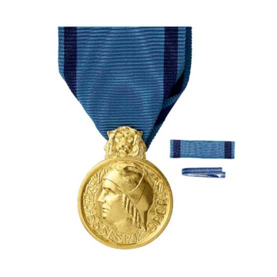 Médaille d’Honneur de la Jeunesse, des Sports & de l’Engagement Associatif - Bronze