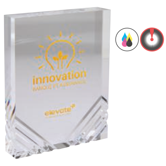 Trophée acrylique personnalisable transparent(e) H.12 cm Ref.PL5155