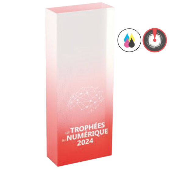 Trophée acrylique personnalisable rose H.14 cm Ref.PL5158