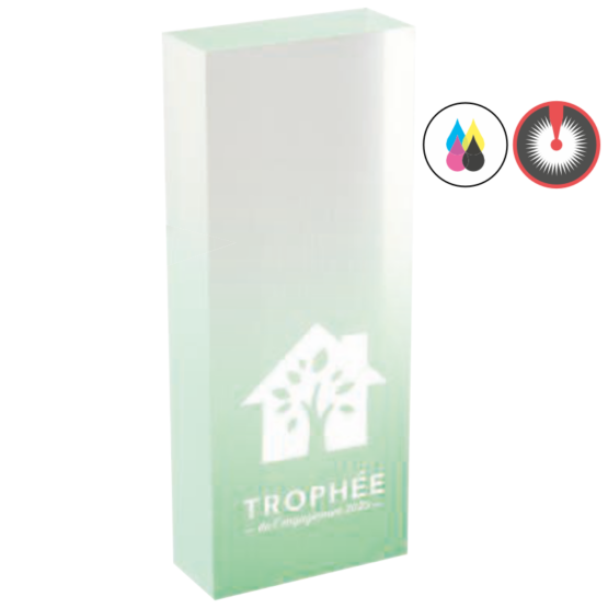 Trophée acrylique personnalisable bleu(e) turquoise H.14 cm Ref.PL5160
