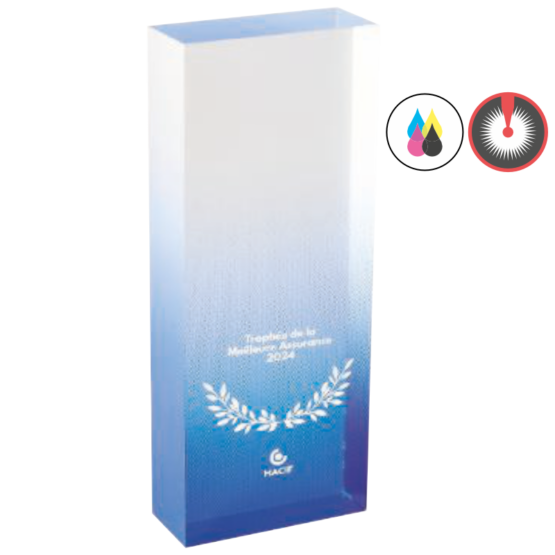 Trophée acrylique personnalisable bleu(e) H.14 cm Ref.PL5161