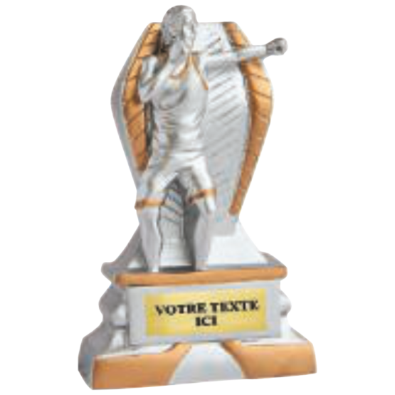 Trophée résine discipline éco argent/or boxe 12 cm Ref.RS5126