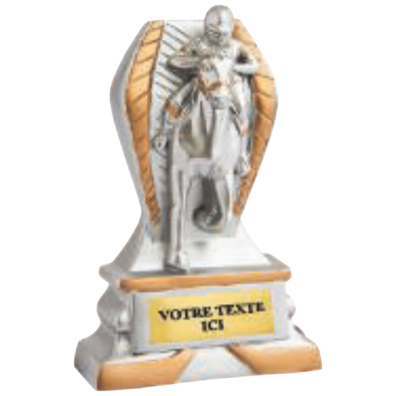 Trophée résine discipline éco argent/or équitation 12 cm Ref.RS5128
