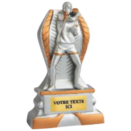 Trophée résine discipline éco argent/or tennis de table 12 cm Ref.RS5144