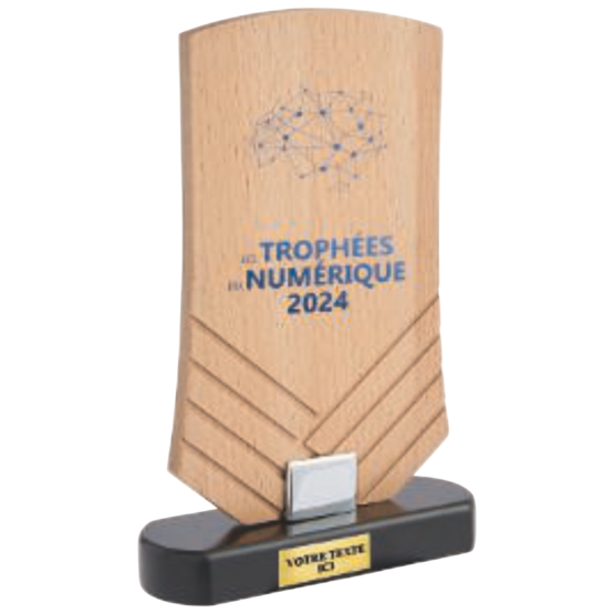 Trophée verre personnalisable H.21 19 17 cm Ref.TV5104