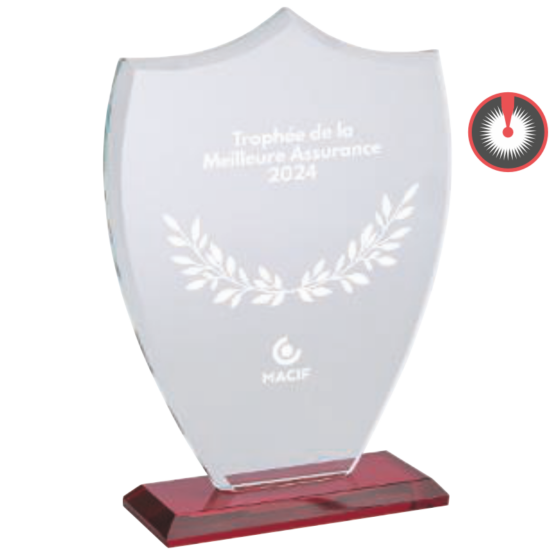 Trophée verre personnalisable transparent(e) H.21 19 17 cm Ref.TV5095