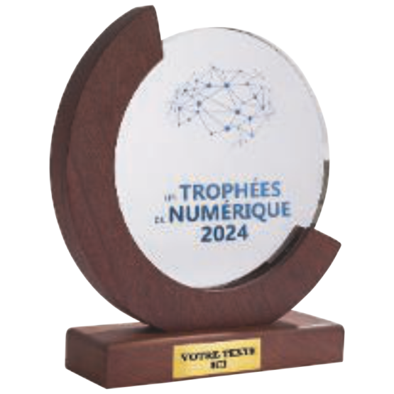 Trophée verre et bois personnalisable transparent(e) H.20 18 cm Ref.TV5096