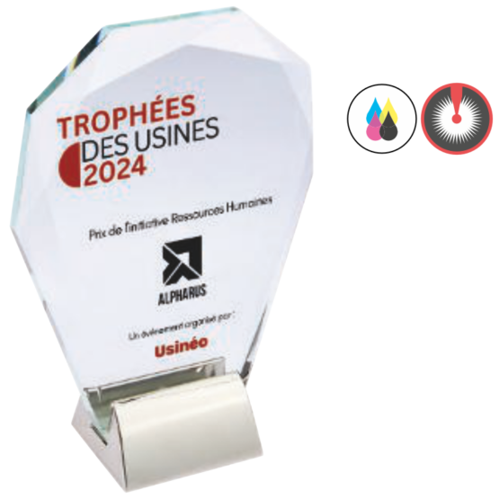 Trophée verre personnalisable transparent(e) H.17 cm Ref.TV5097