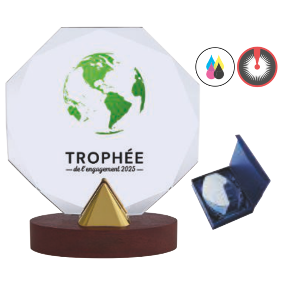 Trophée verre personnalisable transparent(e) H.23 21 19 cm Ref.TV5102
