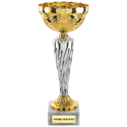 Coupe économique or/argent H.24 22 21 cm Ref.CP5394