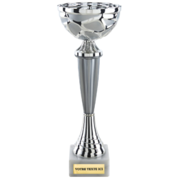 Coupe économique argent/gris(e) H.27 25 22 cm Ref.CP5395