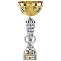 Coupe classique or/argent H.37 34 32 30 28 cm Ref.CP5397