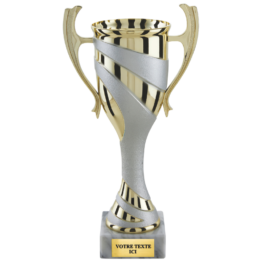 Coupe classique or/argent mat H.29 25 20 cm Ref.CP5400