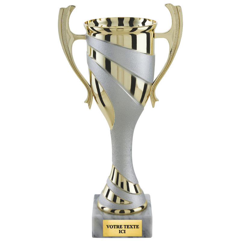 Coupe classique or/argent mat H.29 25 20 cm Ref.CP5400