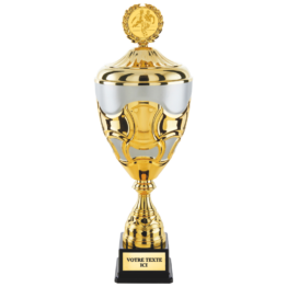 Coupe classique or/argent mat H.50 46 43 cm Ref.CP5405V