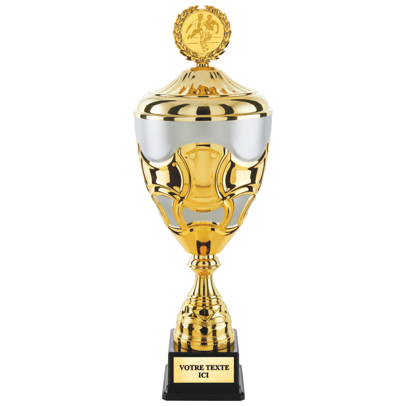 Coupe classique or/argent mat H.50 46 43 cm Ref.CP5405V