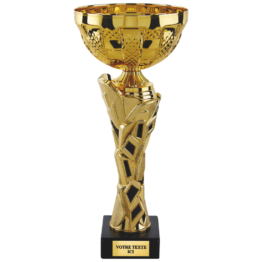 Coupe classique or/noir(e) H.36 31 28 cm Ref.CP5418