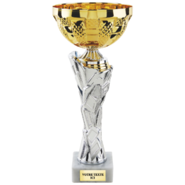 Coupe classique or/argent H.36 31 28 cm Ref.CP5419