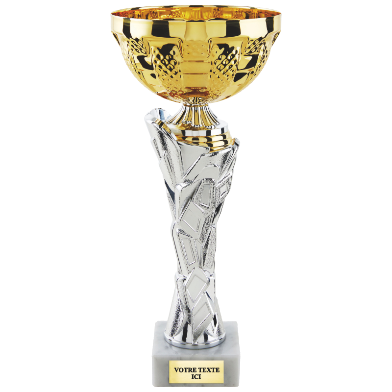 Coupe classique or/argent H.36 31 28 cm Ref.CP5419