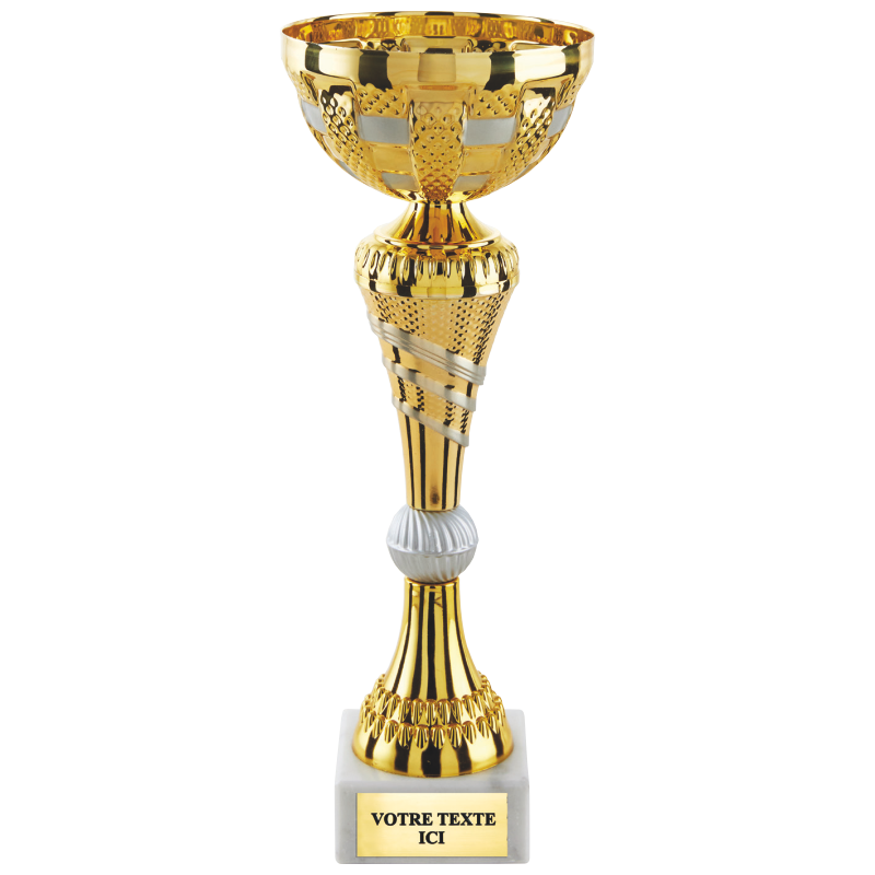 Coupe classique or/argent mat H.30 27 24 cm Ref.CP5420