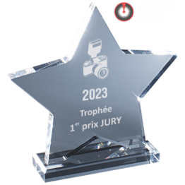 Trophée acrylique personnalisable épaisseur 15 mm H.20 cm Ref.PL5423