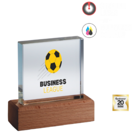 Trophée verre personnalisable transparent H.10 cm Ref.TV5166