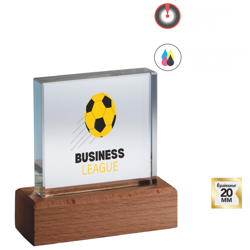 Trophée verre personnalisable transparent H.10 cm Ref.TV5166