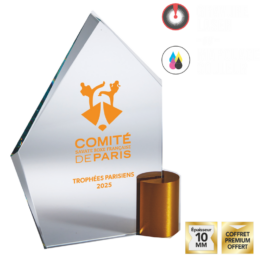 Trophée verre personnalisable transparent/or H.20 cm Ref.TV5168