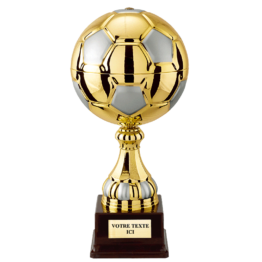 Trophée ballon de foot H.37 25 cm football