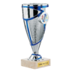 Trophée plastique H.17 15 13 cm