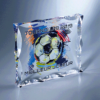Trophée plexi épaisseur 25mm H.18x15 15x12 12x10 cm