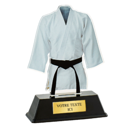Trophée plexi judo H.16 cm