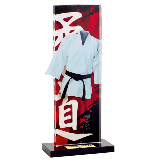 Trophée plexi Judo H.22 cm