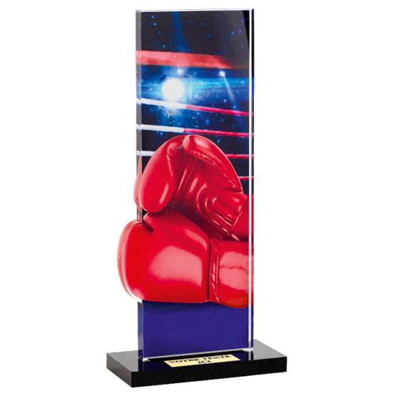 Trophée plexi boxe H.22 cm